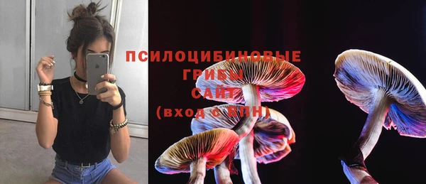 шишки Вязьма