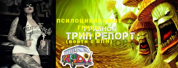 прущие грибы Лиски