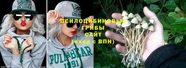 шишки Вязьма