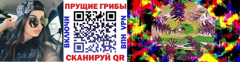 Псилоцибиновые грибы мицелий  Губкин 