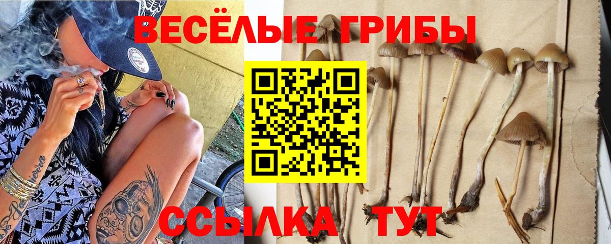 Галлюциногенные грибы GOLDEN TEACHER Губкин