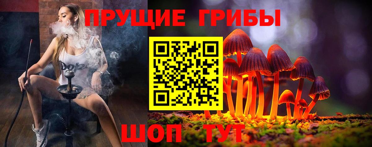 Псилоцибиновые грибы мухоморы Губкин