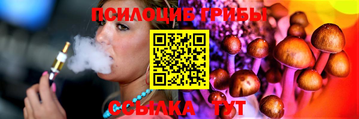 Галлюциногенные грибы Psilocybine cubensis  Вход с VPN  Губкин 