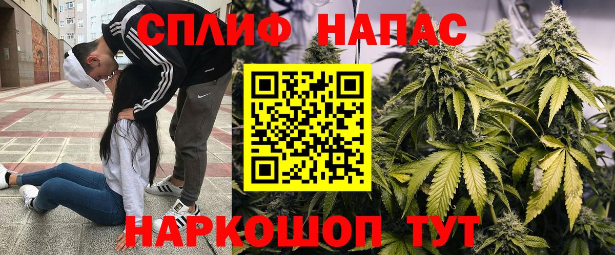 Бошки Шишки конопля  Бошки Шишки MAZAR  Губкин  Каннабис марихуана 